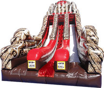 Raiders of the lost Temple Double Slide Raiders of the lost Temple Double Slide